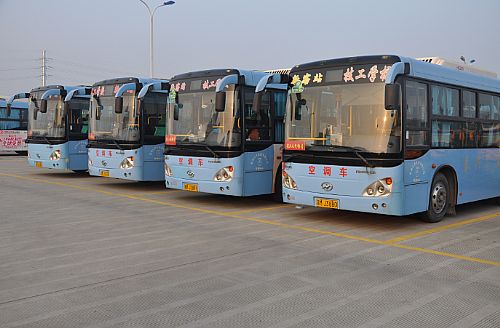2010年投入运营的50辆金龙公交车